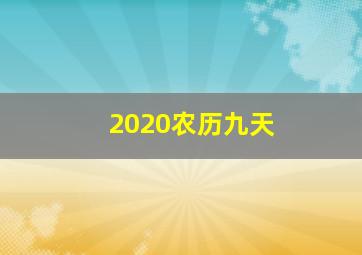 2020农历九天