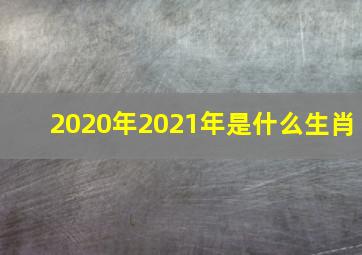 2020年2021年是什么生肖