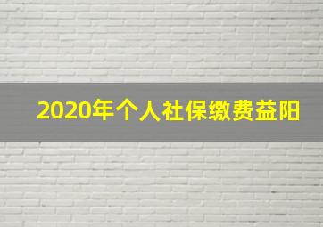 2020年个人社保缴费益阳