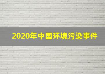 2020年中国环境污染事件