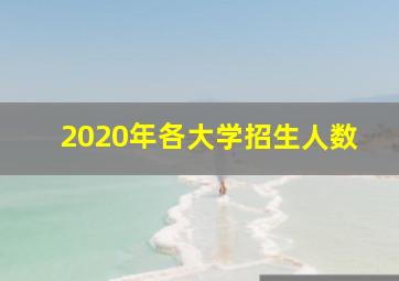 2020年各大学招生人数