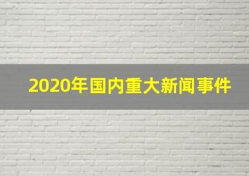 2020年国内重大新闻事件