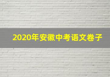 2020年安徽中考语文卷子