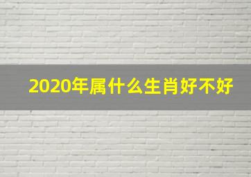 2020年属什么生肖好不好