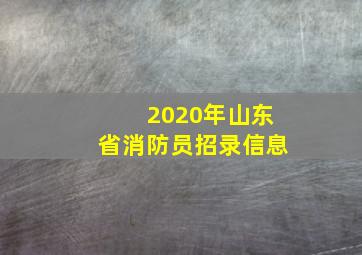 2020年山东省消防员招录信息