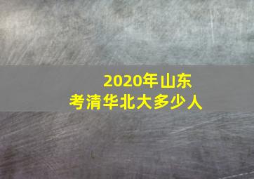 2020年山东考清华北大多少人