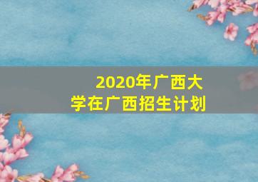 2020年广西大学在广西招生计划