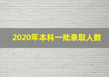 2020年本科一批录取人数