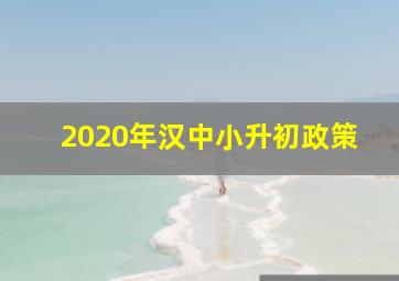 2020年汉中小升初政策