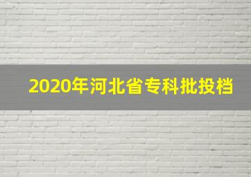 2020年河北省专科批投档