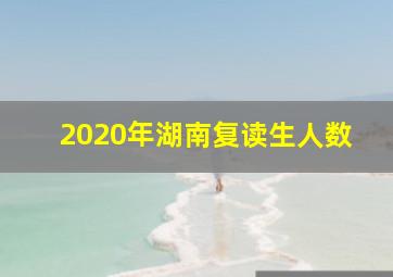 2020年湖南复读生人数