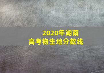 2020年湖南高考物生地分数线