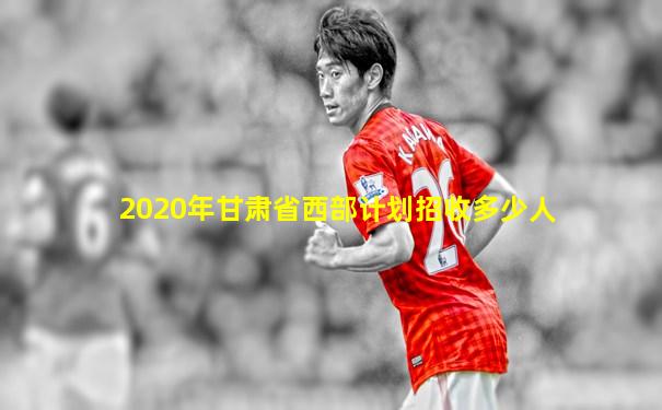 2020年甘肃省西部计划招收多少人