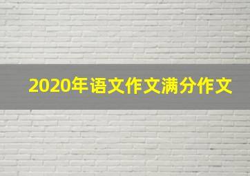 2020年语文作文满分作文