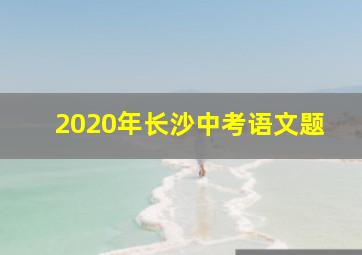 2020年长沙中考语文题