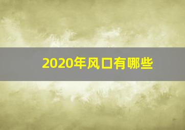 2020年风口有哪些