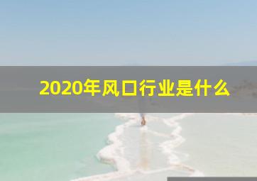 2020年风口行业是什么