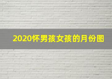 2020怀男孩女孩的月份图