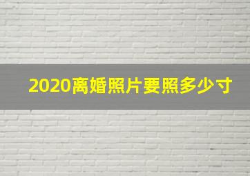 2020离婚照片要照多少寸