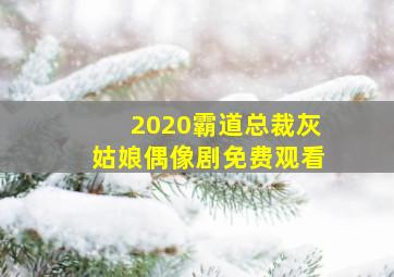 2020霸道总裁灰姑娘偶像剧免费观看