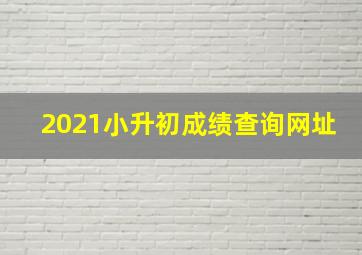 2021小升初成绩查询网址