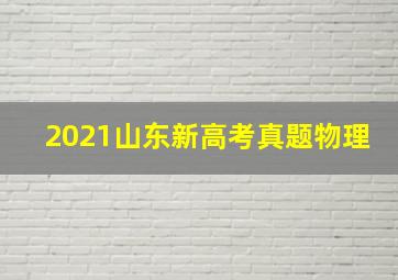 2021山东新高考真题物理