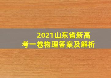 2021山东省新高考一卷物理答案及解析