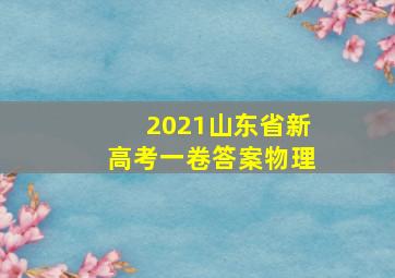 2021山东省新高考一卷答案物理