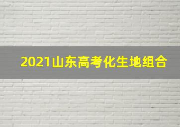 2021山东高考化生地组合