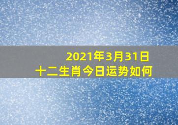 2021年3月31日十二生肖今日运势如何