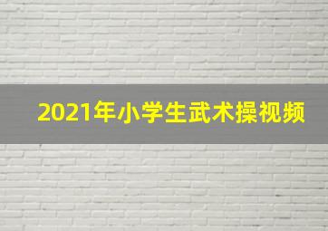 2021年小学生武术操视频