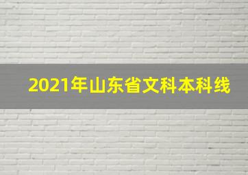 2021年山东省文科本科线