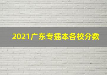 2021广东专插本各校分数