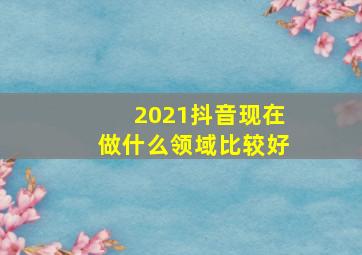 2021抖音现在做什么领域比较好