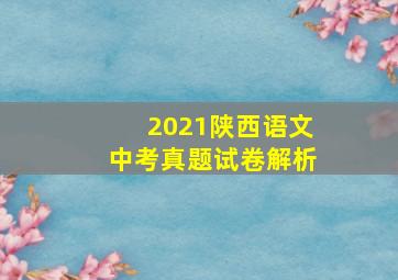 2021陕西语文中考真题试卷解析