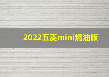 2022五菱mini燃油版