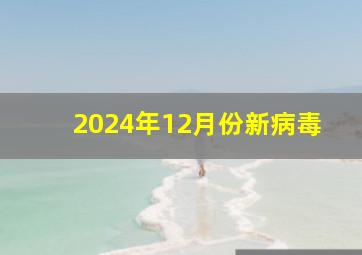 2024年12月份新病毒