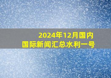 2024年12月国内国际新闻汇总水利一号