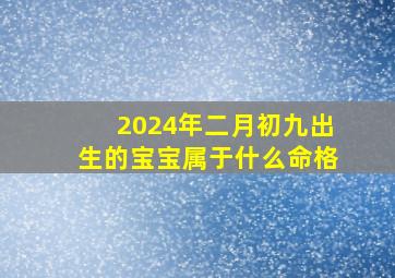 2024年二月初九出生的宝宝属于什么命格