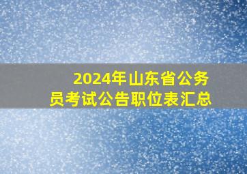 2024年山东省公务员考试公告职位表汇总