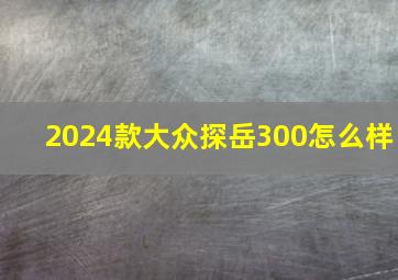 2024款大众探岳300怎么样