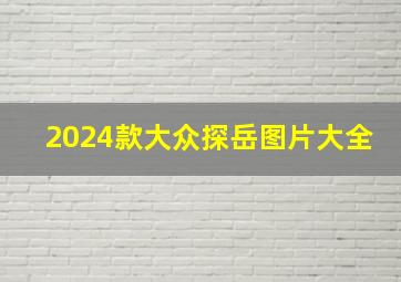 2024款大众探岳图片大全