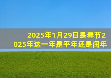 2025年1月29日是春节2025年这一年是平年还是闰年