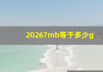 20267mb等于多少g