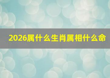 2026属什么生肖属相什么命