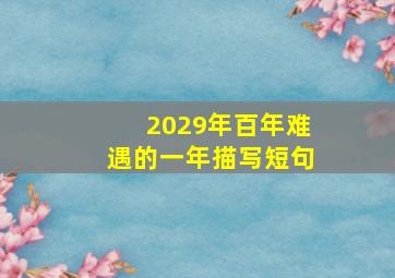 2029年百年难遇的一年描写短句