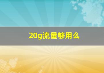 20g流量够用么