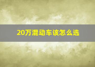 20万混动车该怎么选