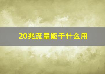 20兆流量能干什么用