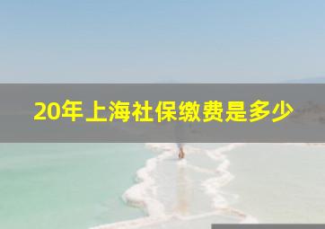 20年上海社保缴费是多少